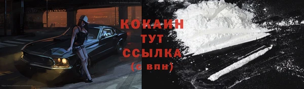 гидропоника Карталы