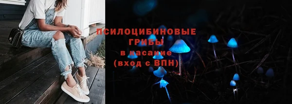 МДМА Карпинск